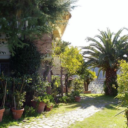La Chandelle Massarosa Exterior foto